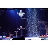 Люстра Елизавета в Саратове